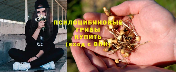 амфетамин Алексин