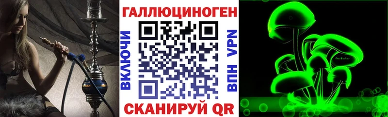 наркота  Раменское  Галлюциногенные грибы Cubensis 